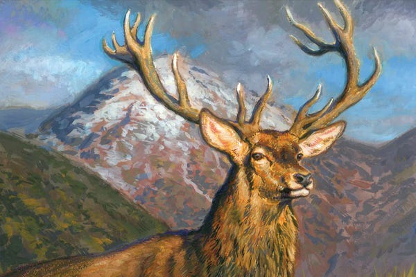 Gabriel Hermida: Highland Stag by Gabriel Hermida