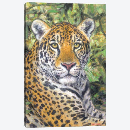 Jaguar Canvas Print #GBH6} by Gabriel Hermida Canvas Art Print