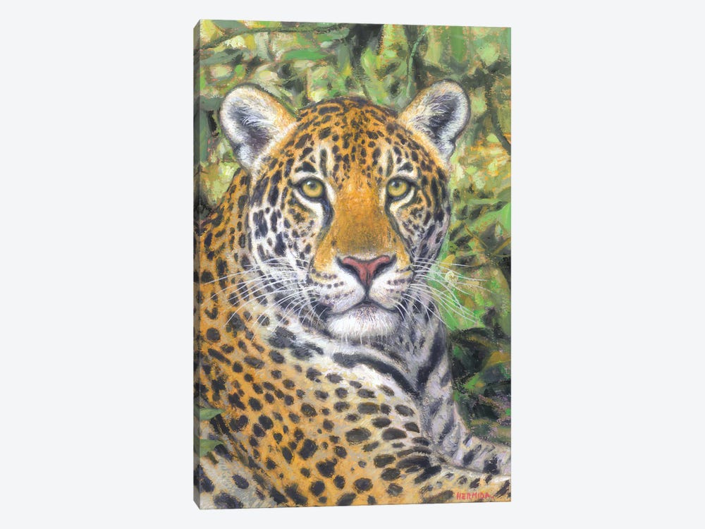 Jaguar by Gabriel Hermida 1-piece Canvas Art