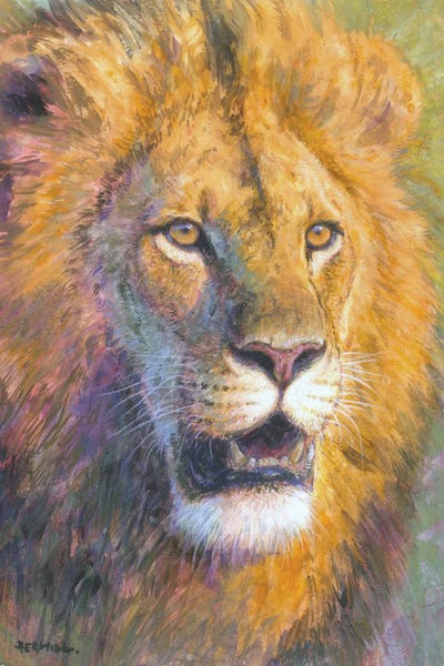 Gabriel Hermida: King Of Africa by Gabriel Hermida