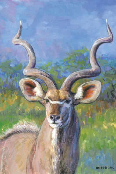 Greater Kudú by Gabriel Hermida framed canvas print