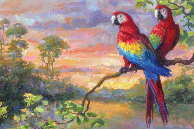 Macaws
