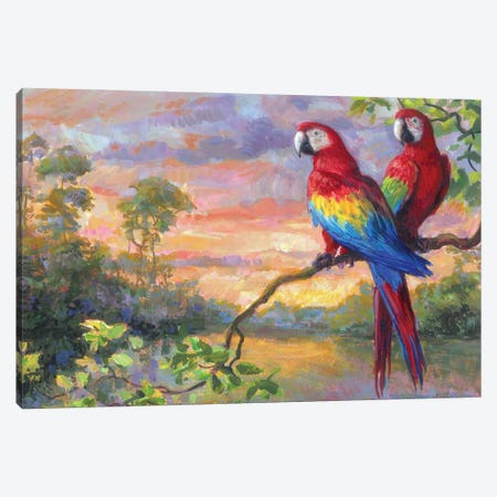 Macaws Canvas Print #GBH9} by Gabriel Hermida Canvas Wall Art