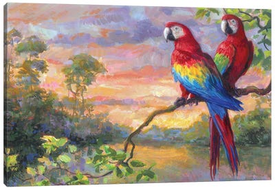 Macaws Canvas Art Print - Macaw Art