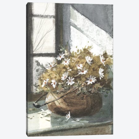 Daisies In The Window Canvas Print #GBJ1} by George Bjorkland Canvas Wall Art