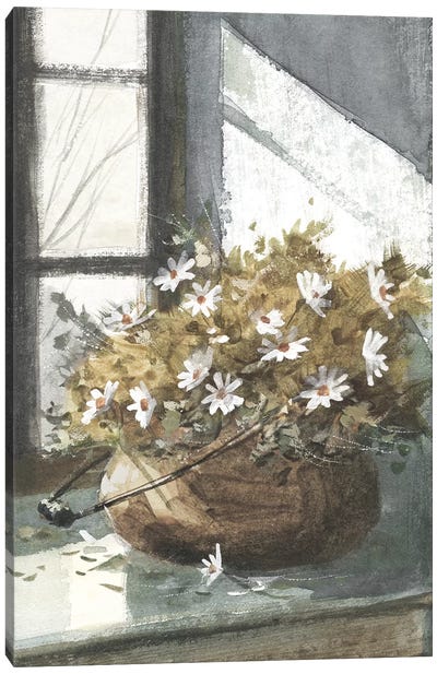 Daisies In The Window Canvas Art Print - Daisy Art