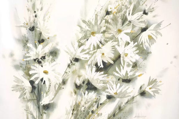 Daisies: Daisy Spray by George Bjorkland