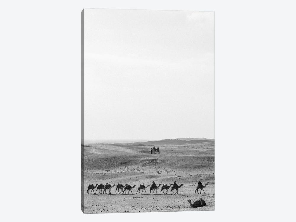 Camel Trail by Gilliard Bressan 1-piece Art Print