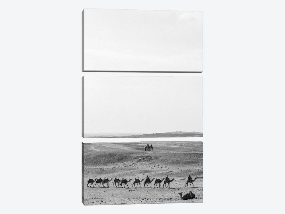 Camel Trail by Gilliard Bressan 3-piece Art Print