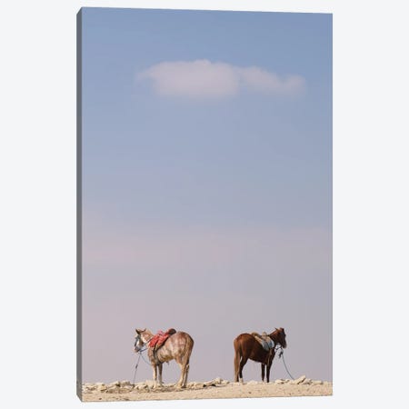 Back To Back Horses Canvas Print #GBN127} by Gilliard Bressan Canvas Wall Art