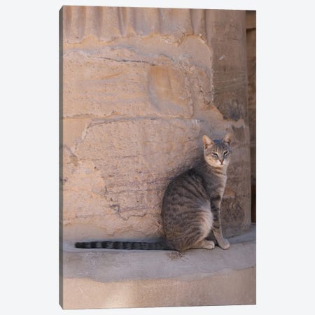 Cat At The Temple Canvas Print #GBN131} by Gilliard Bressan Canvas Artwork