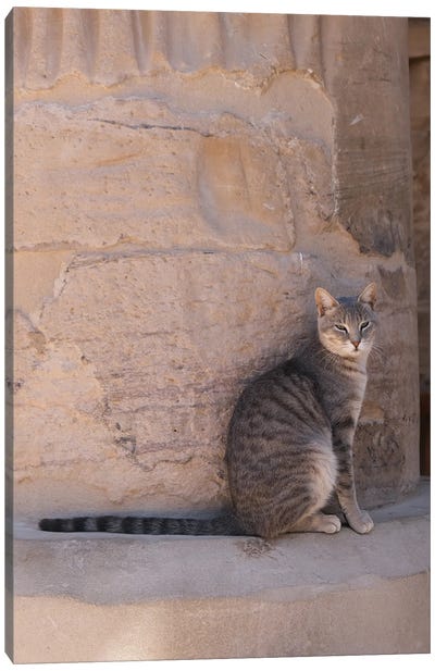 Cat At The Temple Canvas Art Print - Egypt Art