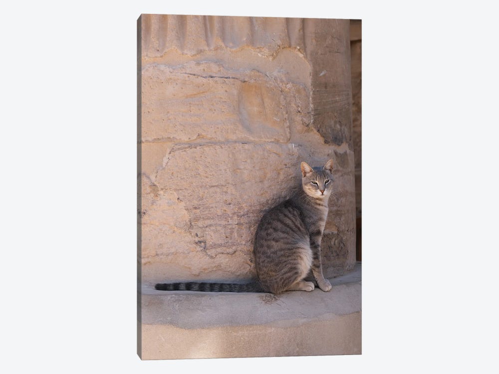 Cat At The Temple by Gilliard Bressan 1-piece Canvas Wall Art