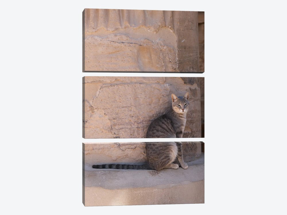 Cat At The Temple by Gilliard Bressan 3-piece Canvas Art