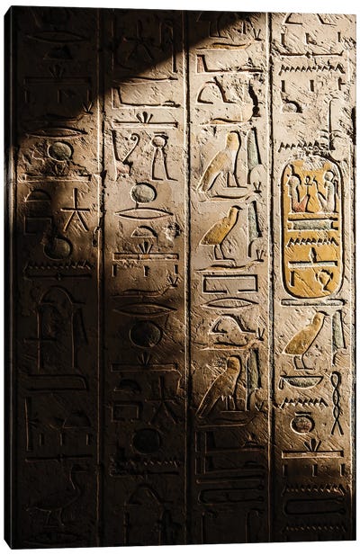 Hieroglyphs Canvas Art Print - Tan Art