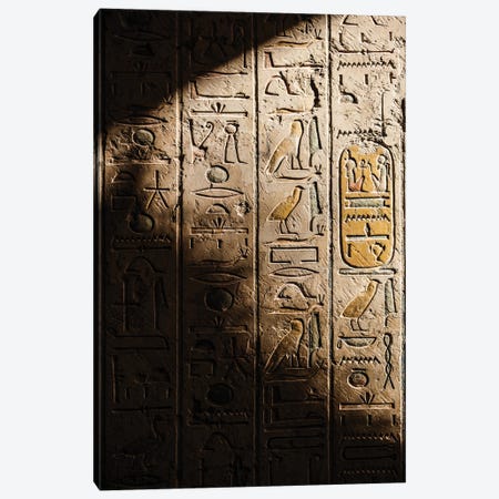 Hieroglyphs Canvas Print #GBN134} by Gilliard Bressan Canvas Art Print