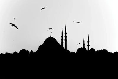 Dance Of Birds by Gilliard Bressan framed wall art