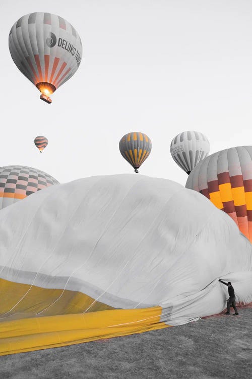 Skyward Bound by Gilliard Bressan wall art
