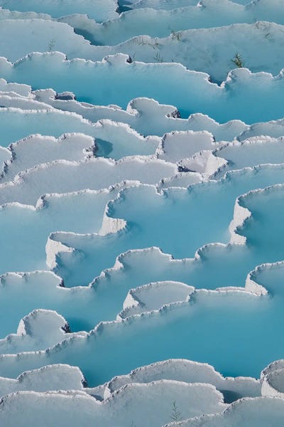 Abstracts In Nature: Cotton Castle by Gilliard Bressan