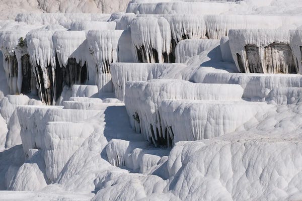 Nature Lover: Whites by Gilliard Bressan