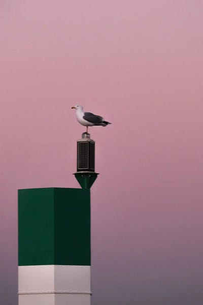 Guardian Of The Sunset