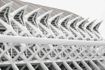 The Beauty Of Repetition by Gilliard Bressan framed wall art