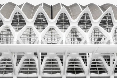 Futuristic Symmetry by Gilliard Bressan framed wall art