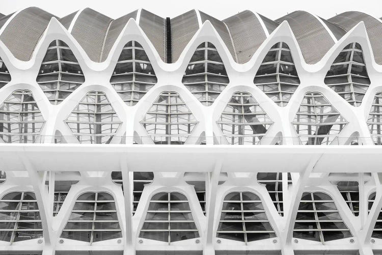 Futuristic Symmetry by Gilliard Bressan wall art