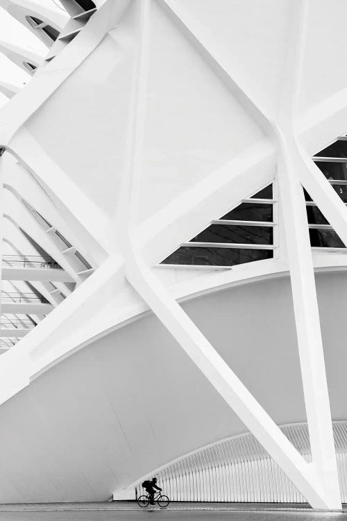 Lines, Curves, And Motion