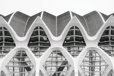 Dialogue Of Lines And Shapes by Gilliard Bressan framed wall art