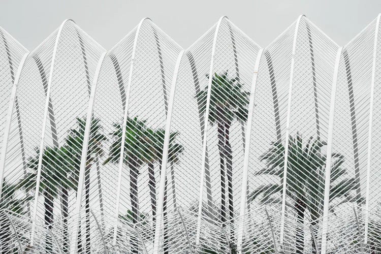 Lines And Leaves by Gilliard Bressan wall art