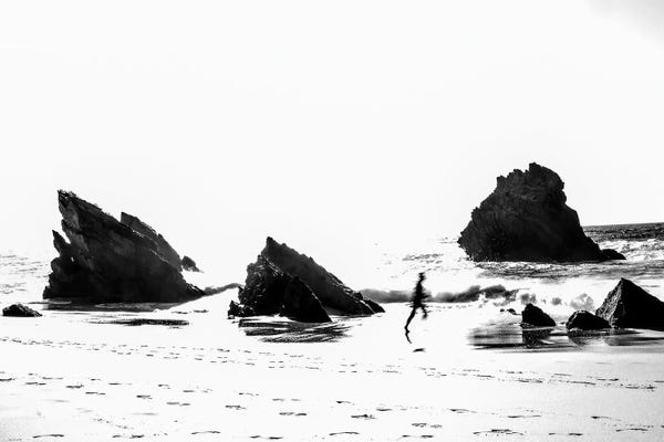 Beach Lover: The Seas Edge by Gilliard Bressan