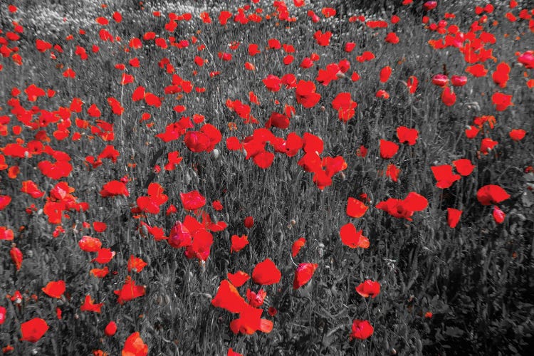 Red Stands Alone