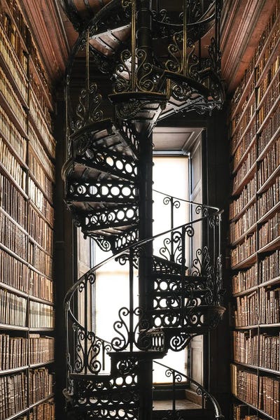 Climbing History by Gilliard Bressan framed wall art