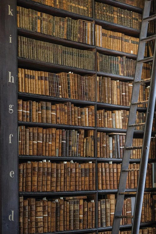 Ladder To Knowledge by Gilliard Bressan wall art