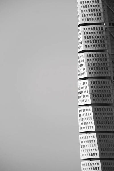 The Torso by Gilliard Bressan framed wall art