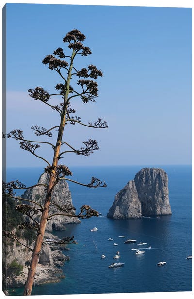 Capri Piu Blu Canvas Art Print - Campania Art