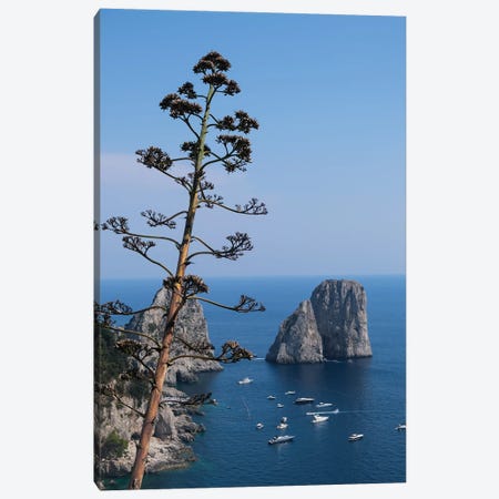 Capri Piu Blu Canvas Print #GBN42} by Gilliard Bressan Canvas Wall Art