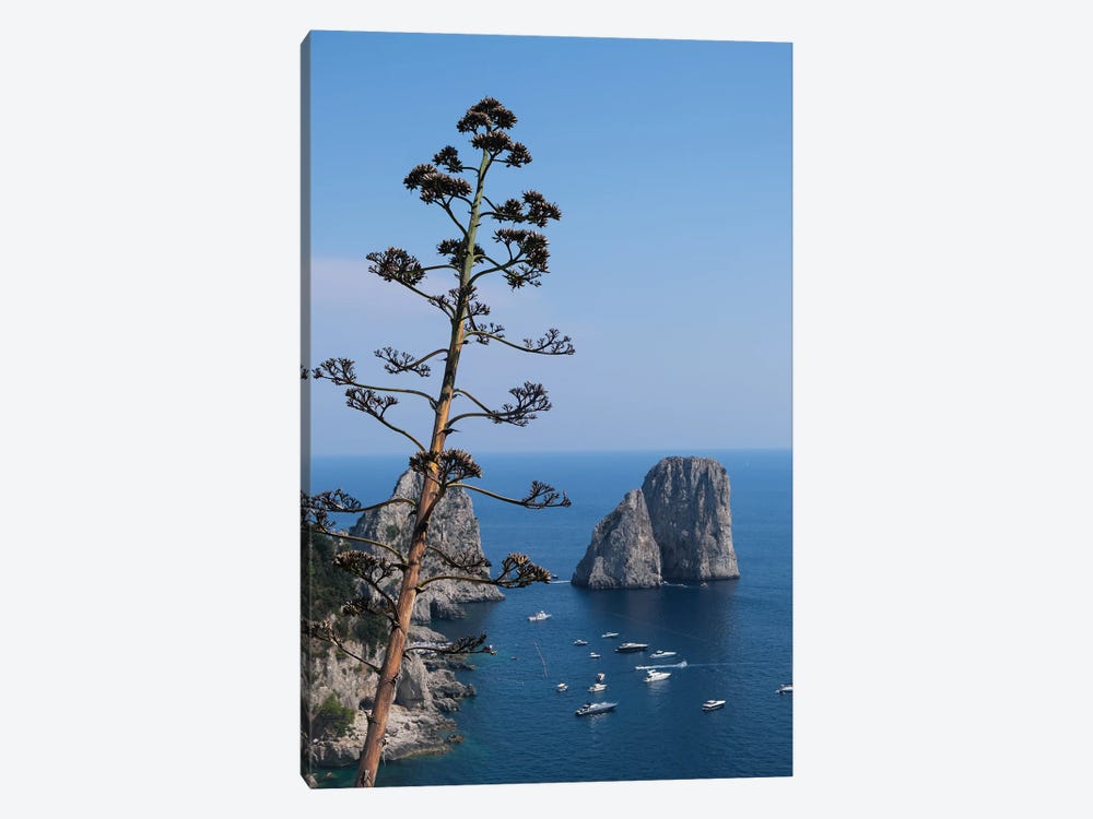 Capri Piu Blu by Gilliard Bressan 1-piece Canvas Wall Art