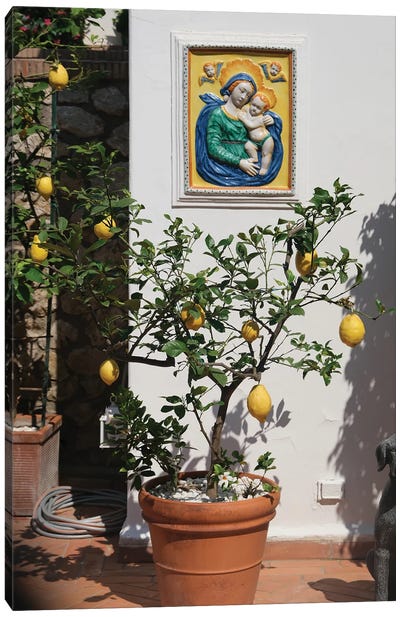 Lemon Tree Canvas Art Print - Capri