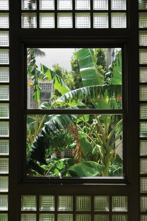 Nature Frame