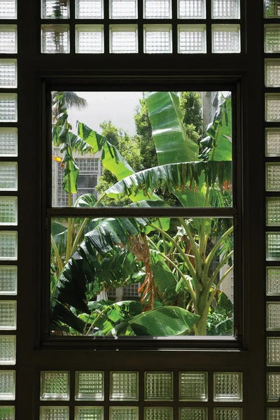 LGBTQ+ Artists: Nature Frame by Gilliard Bressan