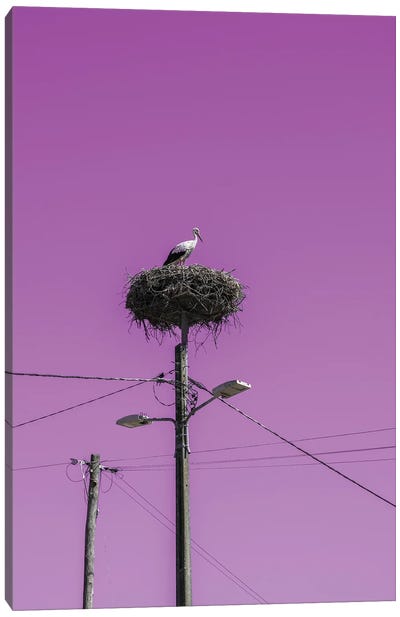 Stork Nest With Pink Sky Canvas Art Print - Portugal Art
