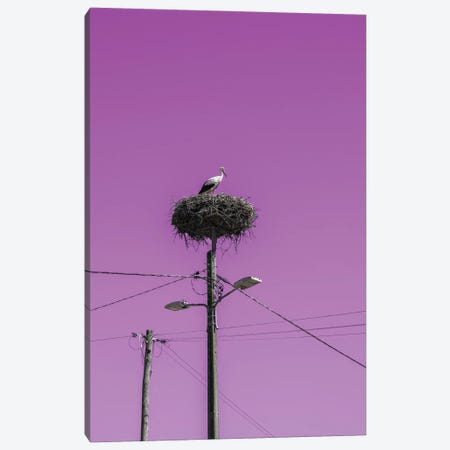 Stork Nest With Pink Sky Canvas Print #GBN50} by Gilliard Bressan Canvas Print