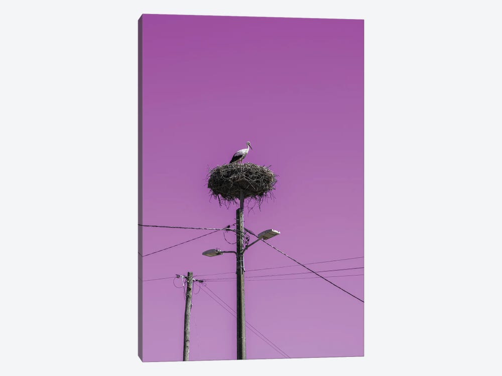 Stork Nest With Pink Sky by Gilliard Bressan 1-piece Canvas Art Print
