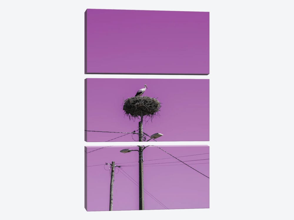 Stork Nest With Pink Sky by Gilliard Bressan 3-piece Canvas Print