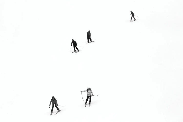 Ski Minimalism by Gilliard Bressan wall art