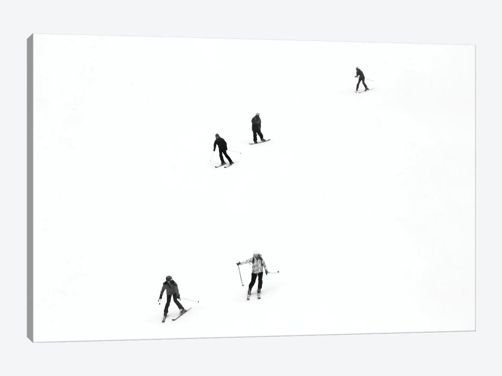 Ski Minimalism by Gilliard Bressan 1-piece Canvas Artwork