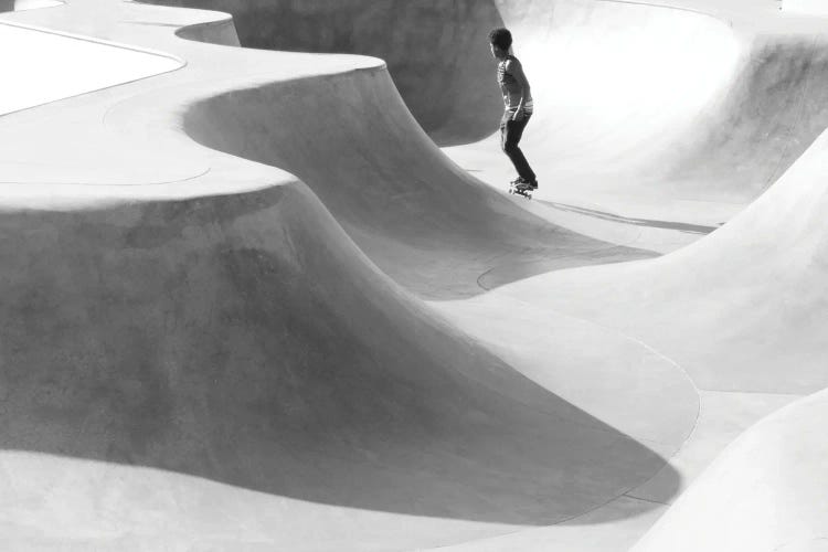 Skater At Moon by Gilliard Bressan wall art
