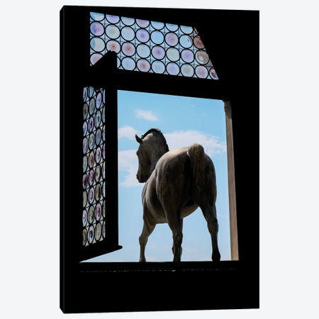 Beyond The Window Canvas Print #GBN96} by Gilliard Bressan Canvas Wall Art